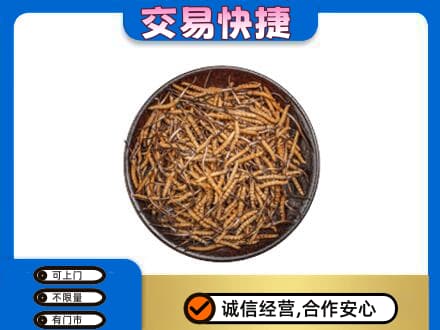 重庆酉阳县礼品回收虫草.jpg